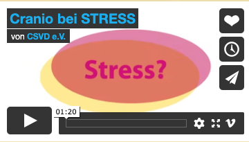 Aktuelles Animation Cranio bei Stress